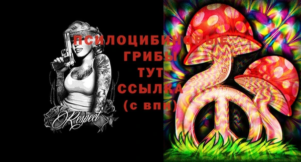 apvp Алексин