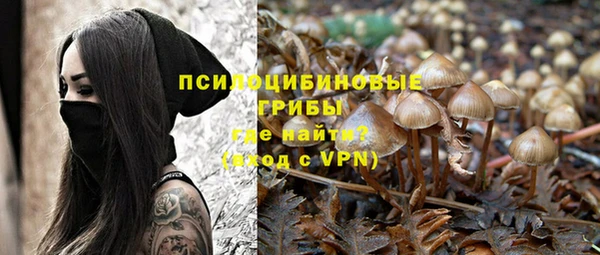 apvp Алексин