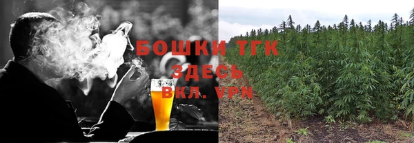 apvp Алексин