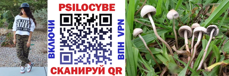 Галлюциногенные грибы Magic Shrooms  Апатиты 